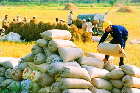 Xuất khẩu nông lâm thuỷ sản tháng 10 ước đạt 2,75 tỷ USD